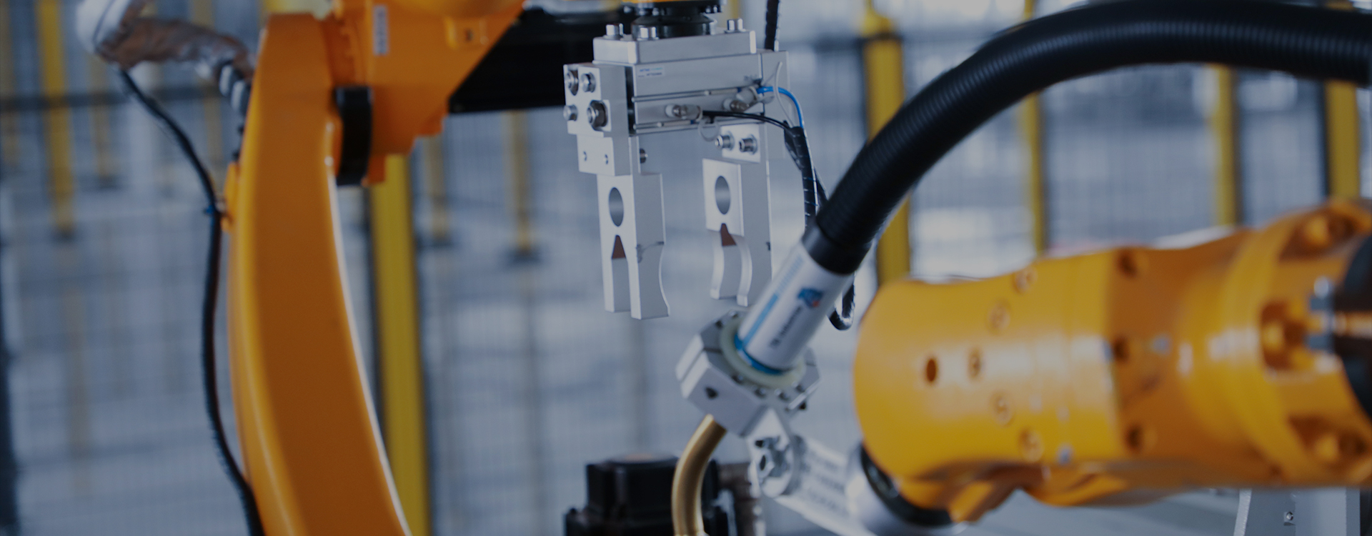 -浙江鵬鳴游樂設(shè)備有限公司