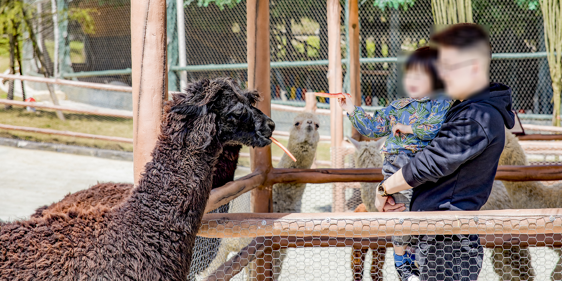 -浙江鵬鳴游樂設(shè)備有限公司