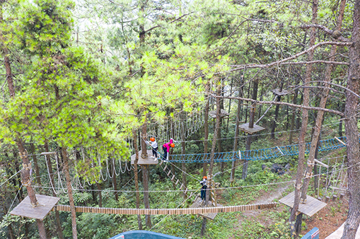 叢林穿越-浙江鵬鳴游樂設(shè)備有限公司